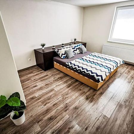 Luxusny, Plne Zariadeny, Sukromny Apartman S Klimatizaciou Nedaleko Historickeho Kupelneho Mesta Bojnice Novaky 외부 사진